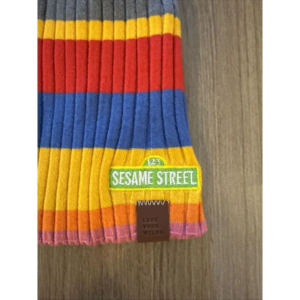 NEW Sesame Street X Love‎ Your Melon Beanie Lightweight Colorblock